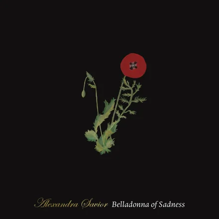 Belladonna